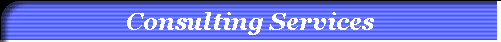 Consulting Services